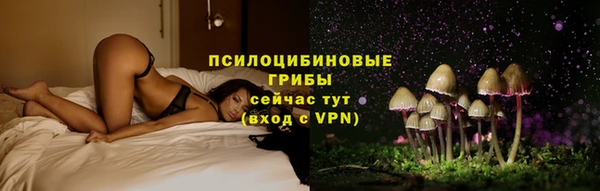 Альфа ПВП Арсеньев