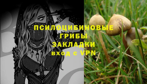 МДПВ Аркадак